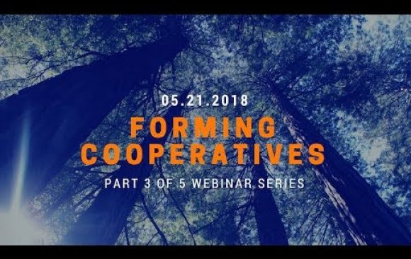 Forming Cooperatives